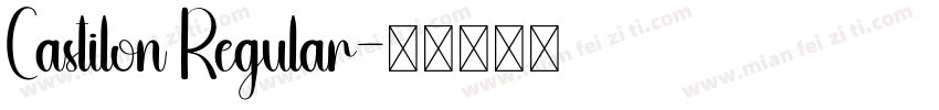 Castilon Regular字体转换